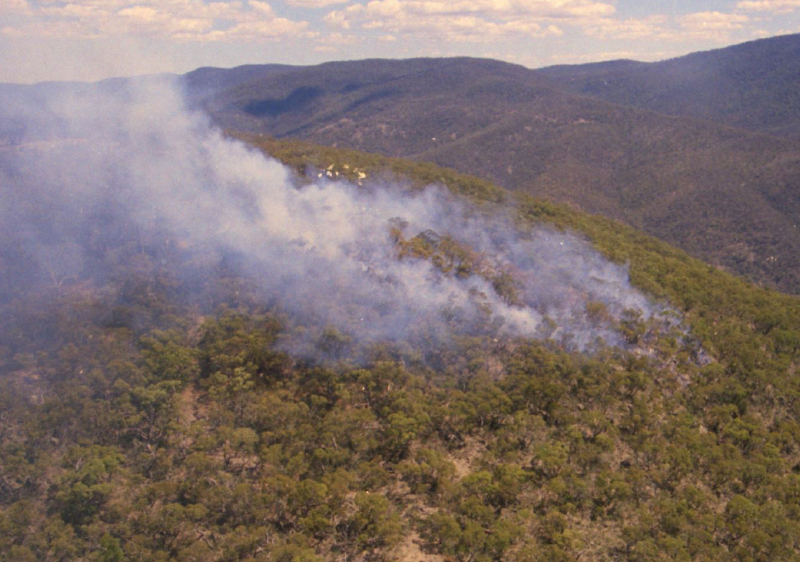 Figure 6b: Subsequent bushfire activity in the hills surrounding Canberra that is rapidly suppressed. Image: Rick McRae