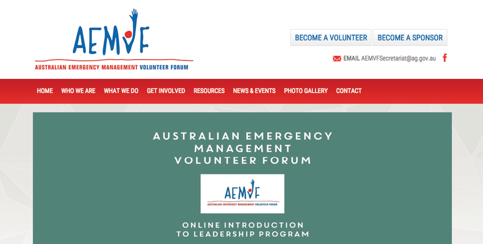 AEMVF website screenshot