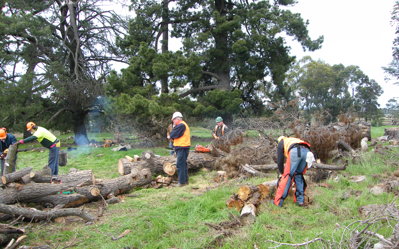 The Rotary Club in Victoria organises training for members and volunteers in chainsaw safety. Image: P. Clancy