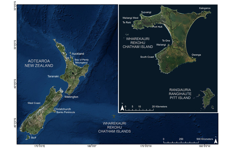 Figure 1: Location of the Chatham Islands off the east coast of Aotearoa-New Zealand.   Map produced using ESRI World Imagery Basemap and Stats New Zealand Regional Council 2018 Boundaries.