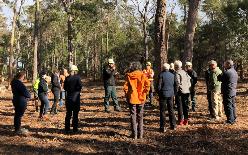 Mallacoota residents discuss vegetation management during a visit to bushland in local areas. Image: Michele Kearns