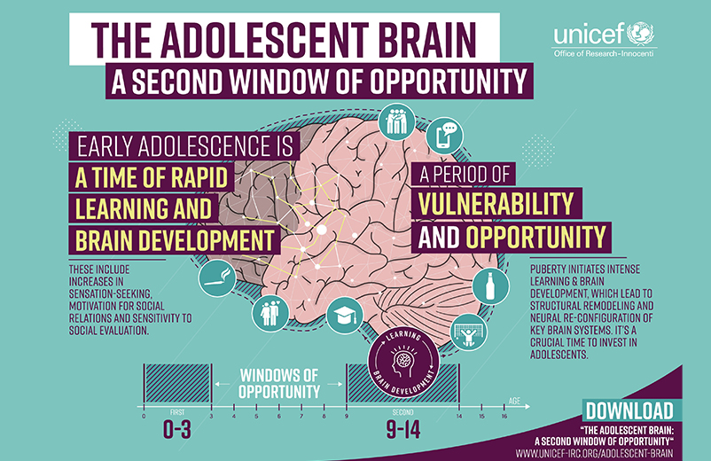 The brain of a 10-year-old is highly plastic and can easily develop new neural pathways, unlearn unhelpful pathways and prioritise neural networks that are helpful. Image: UNICEF Office of Research-Innicenti, at www.unicef-irc.org/article/1750-the-adolescent-brain-a-second-window-of-opportunity.html.